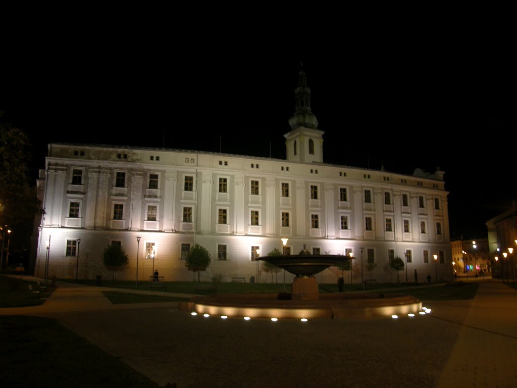 Opava - noční pohled na náměstí Osvoboditelů s parkem, fontánou, budovou Zemského archívu a věží kostela Sv. Vojtěcha (Night view of the Square of the Liberators, with park, fountain, building of the Provincial Archives and the tower of the church of St. 