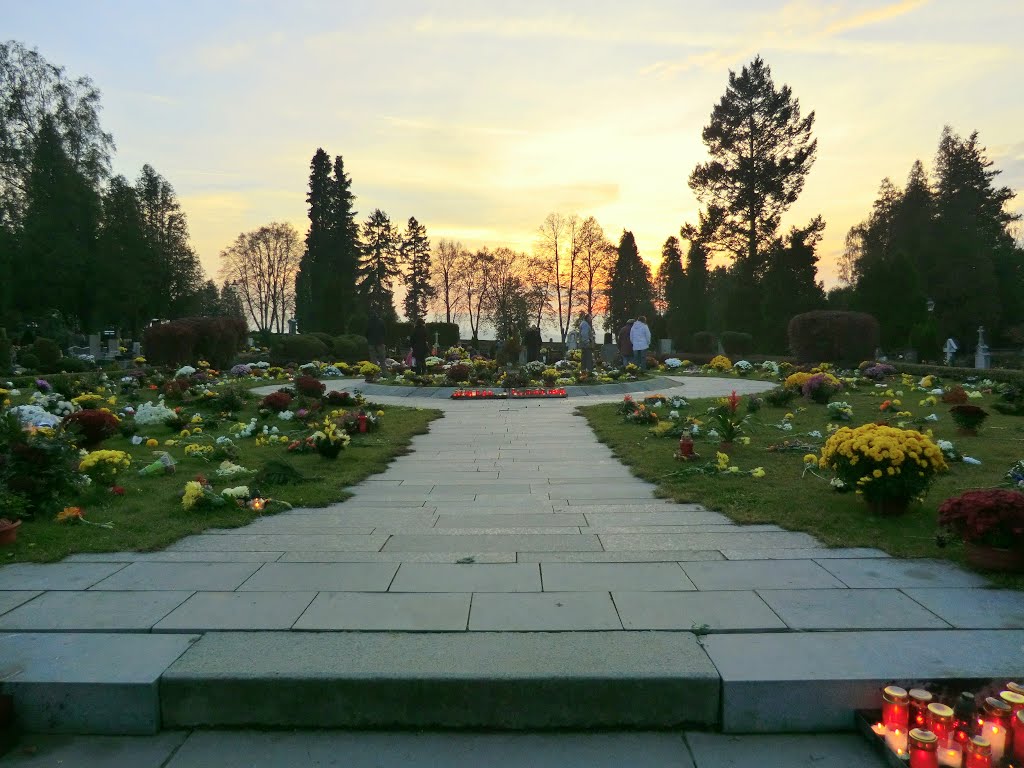 Opavský hřbitov (Cemetery in Opava) - mnoho květin na rozsypové loučce (many flowers on scatter meadow)