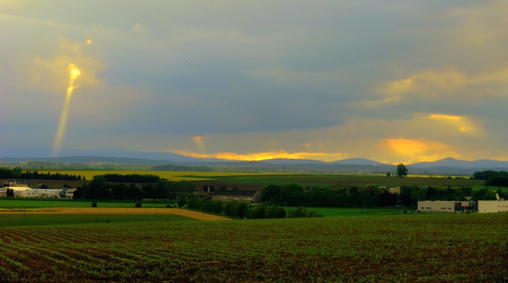 Večerní pohled na slezskou krajinu s pohořím Jeseníky (Evening view of the Silesian landscape with Jeseniky Mountains), Czech Republic