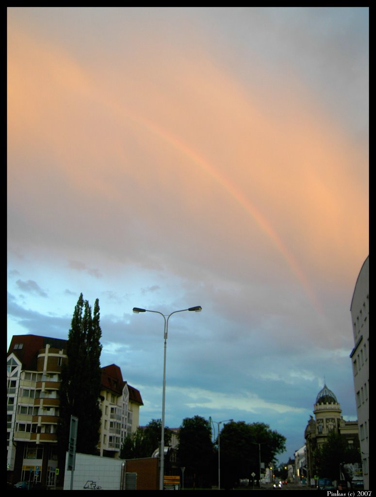 rainbow by JP