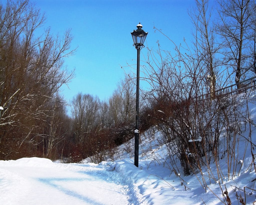 Lamp in winter