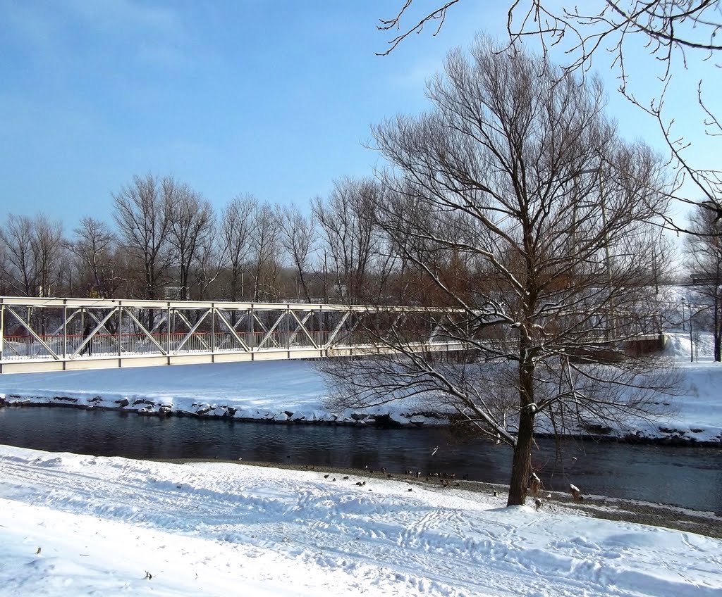 Bridge
