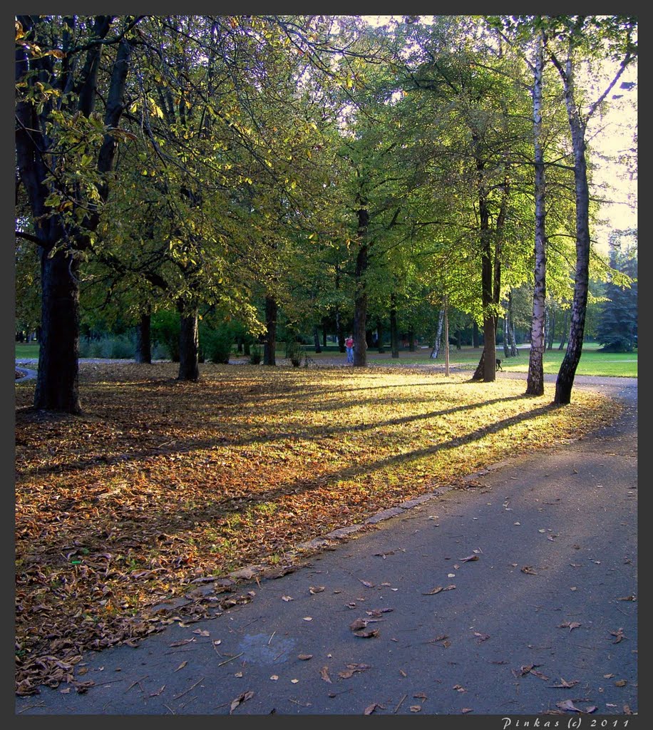 parcikova by JP