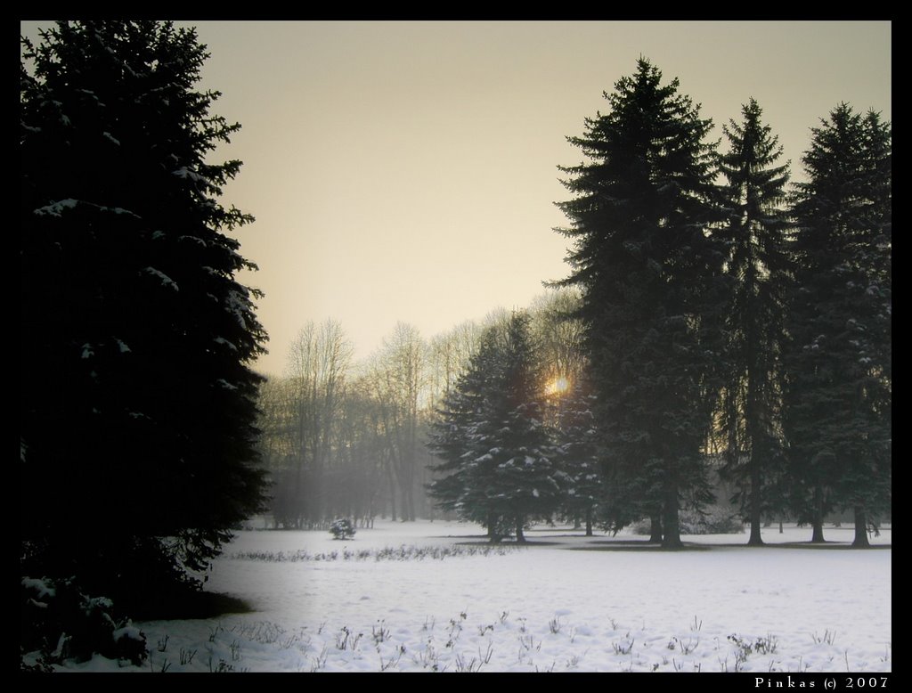 park v ove by JP