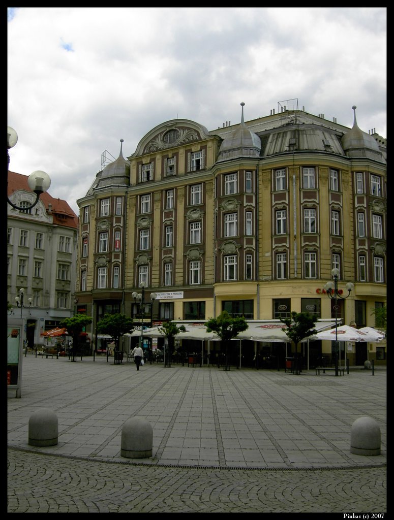Kuri rynek by JP