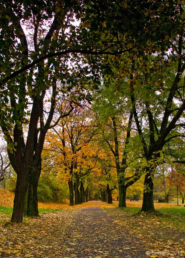 Ostrava - Golden way