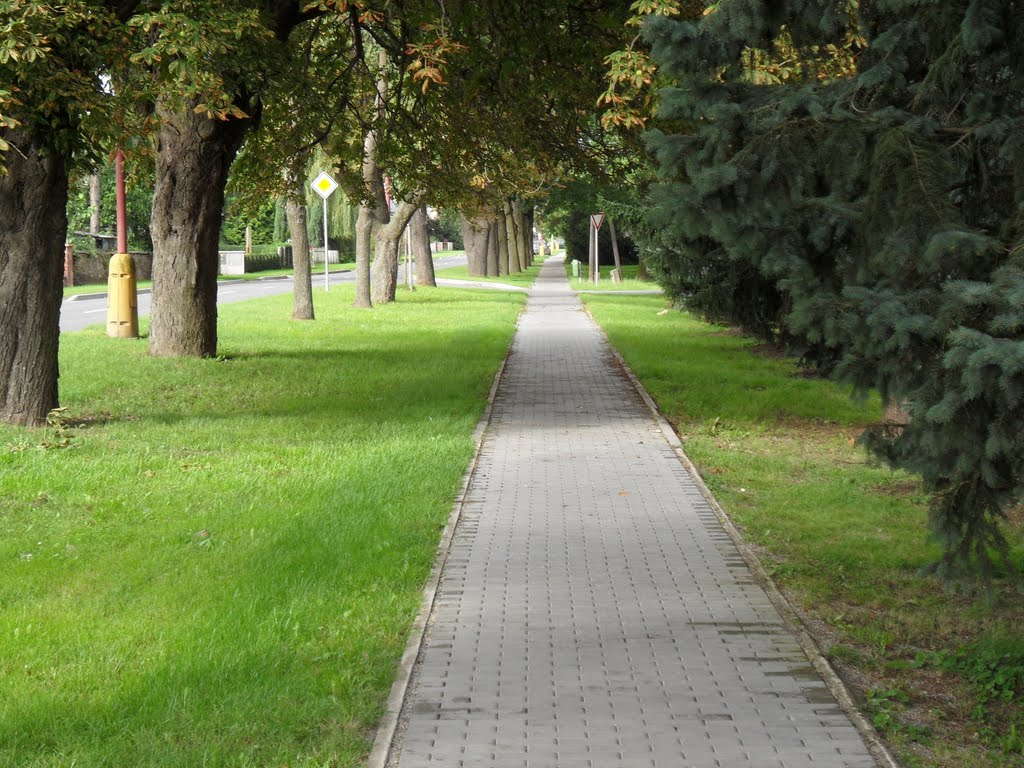 Újezd, cesta na horní konec