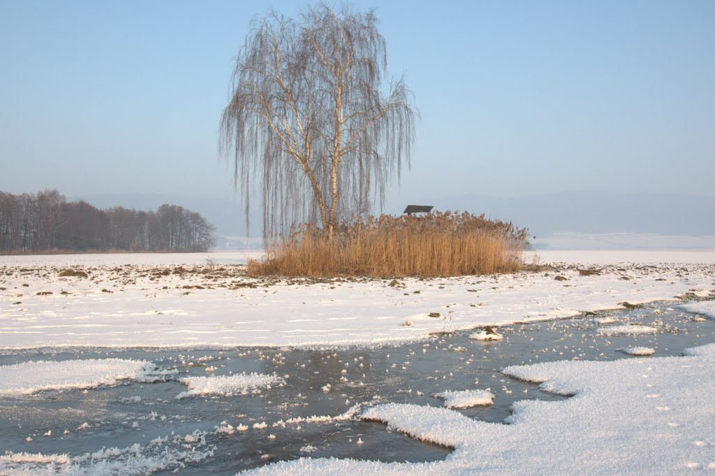 Haukovice zima