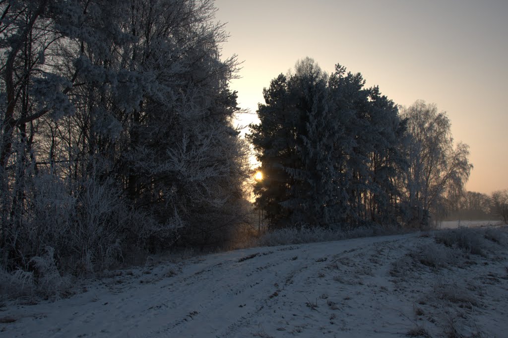 Haukovice zima