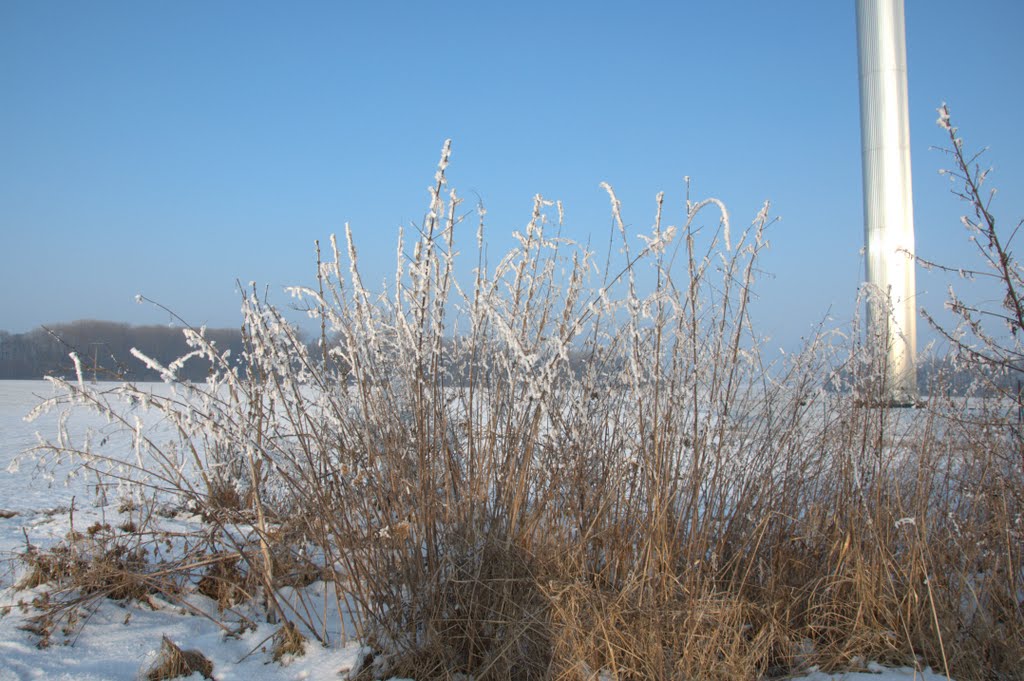 Haukovice zima