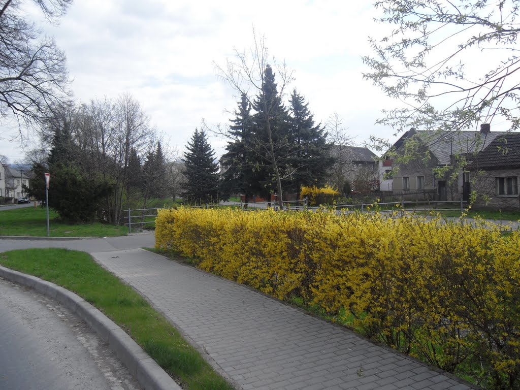 Olomouc
