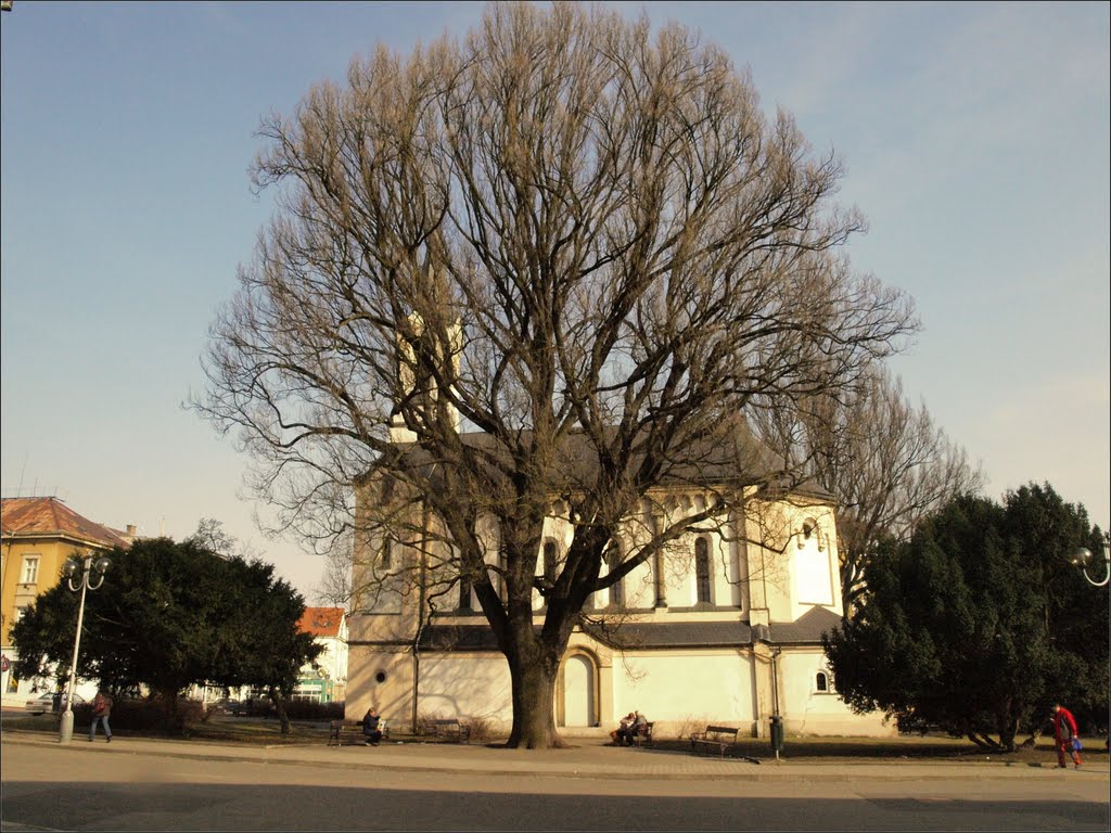 kostel sv.Františka z Assisi v Podmoklech