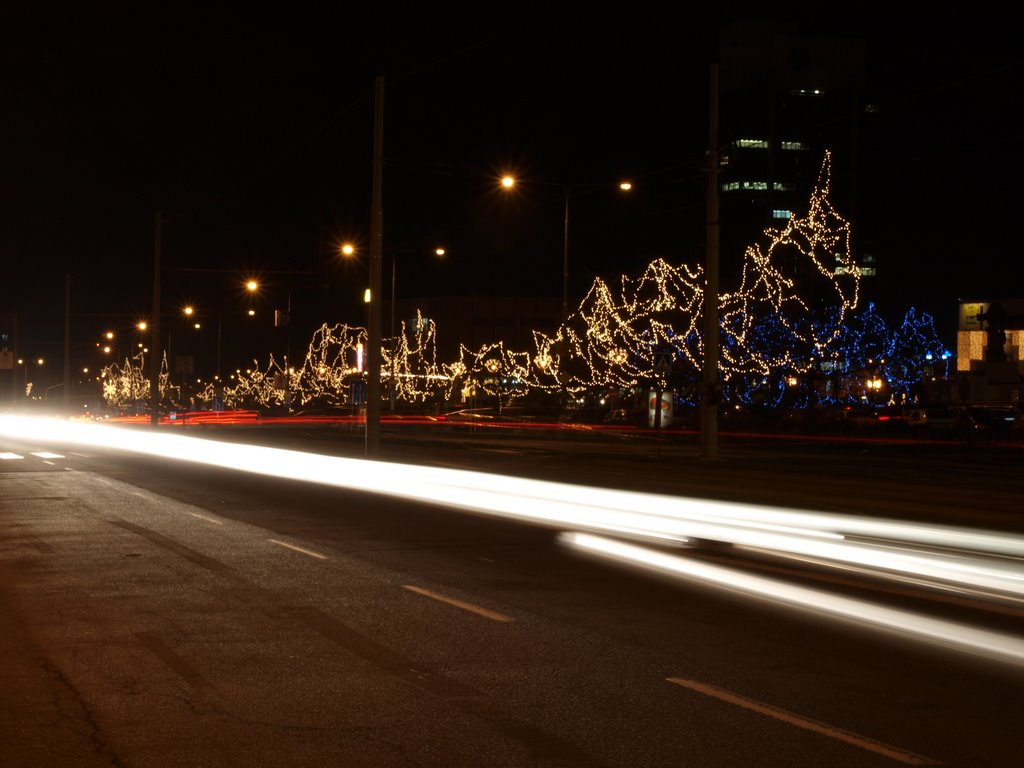 Christmas Lights 2008