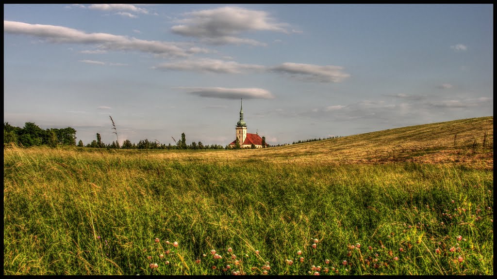 Church of the Assumption of the Virgin Mary