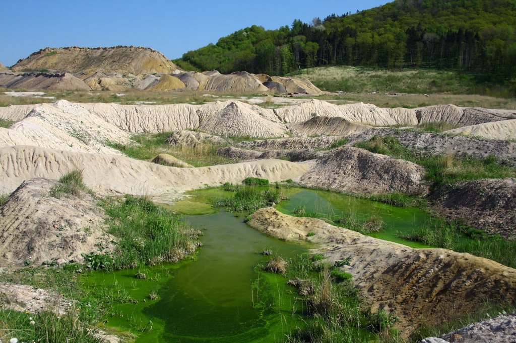 Green lagoon