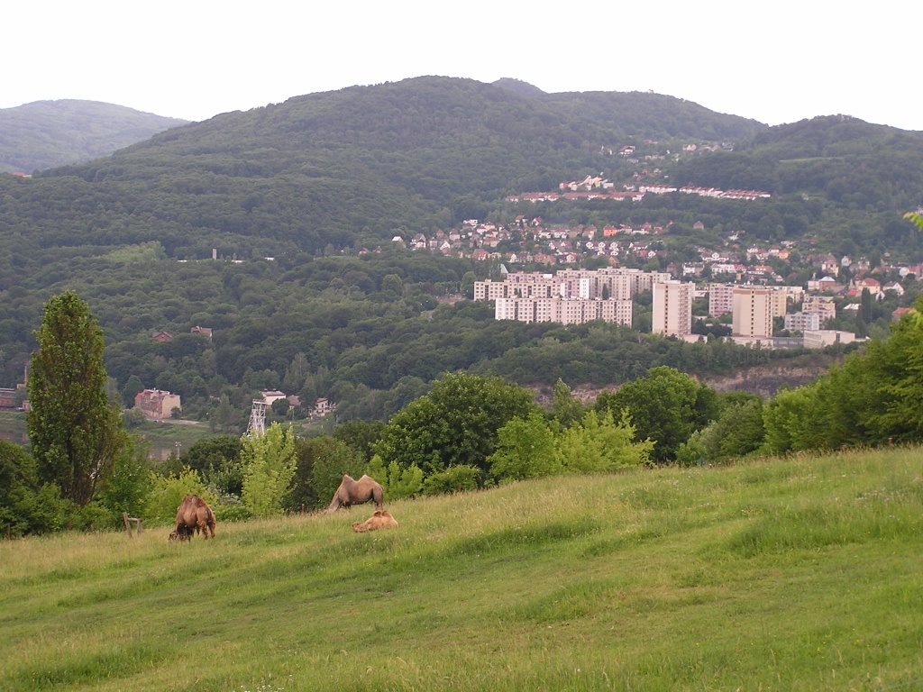 ZOO Ústí nad Labem