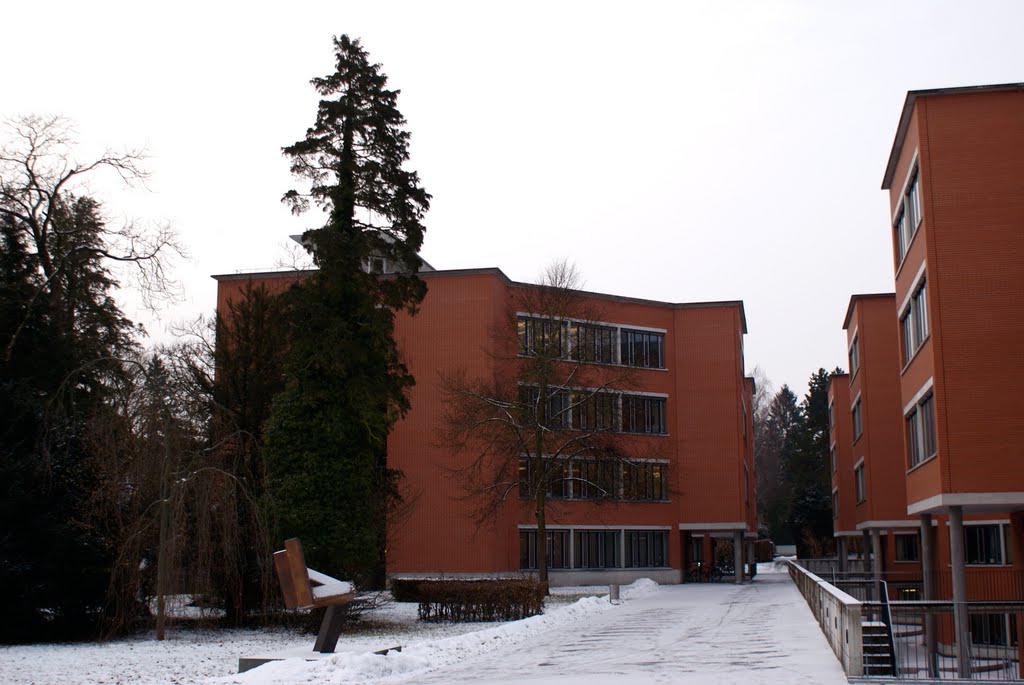 Abteilung für Umwelt