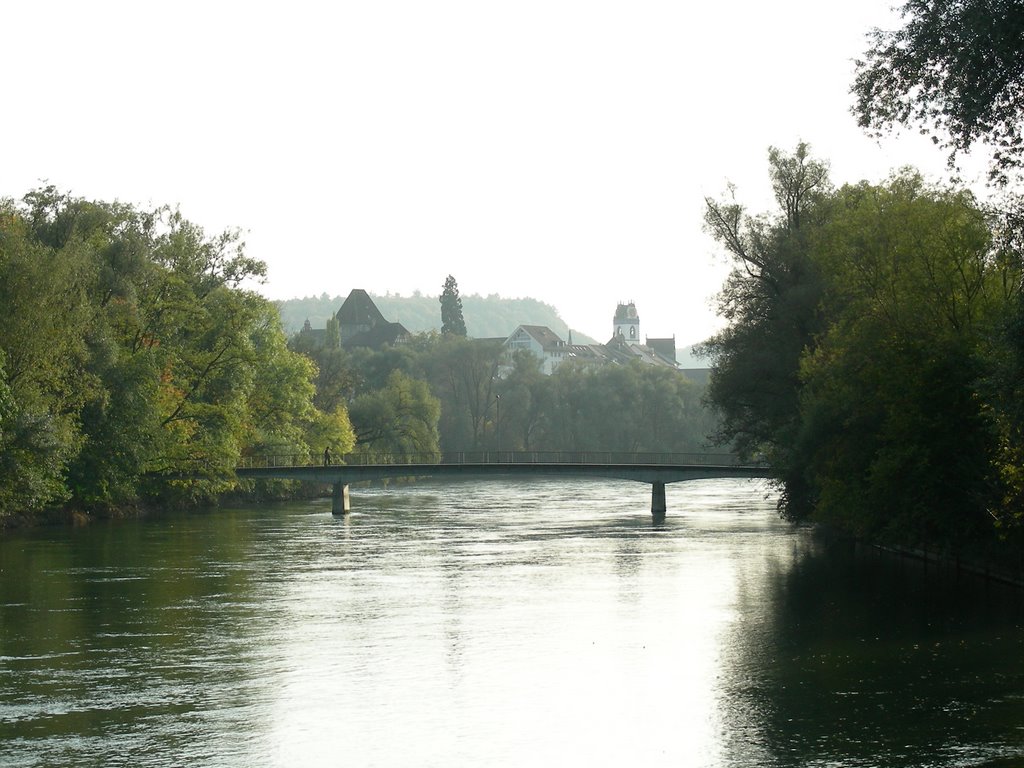 die Aare