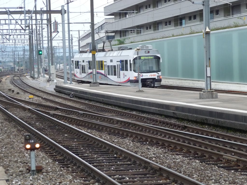 WSB unterwegs nach Menziken