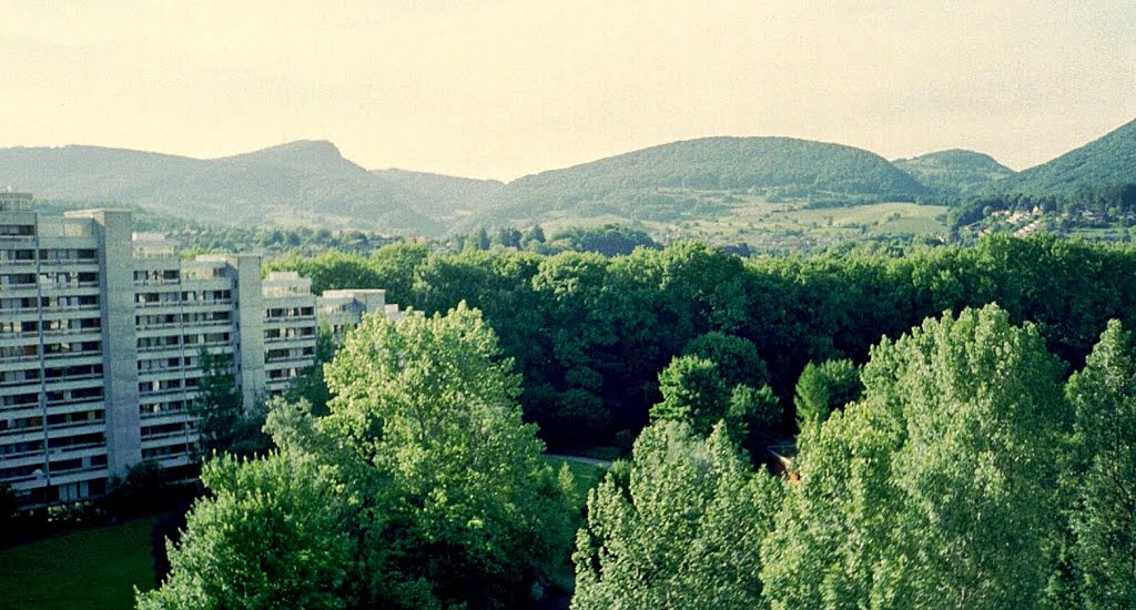 Aarau - Telli