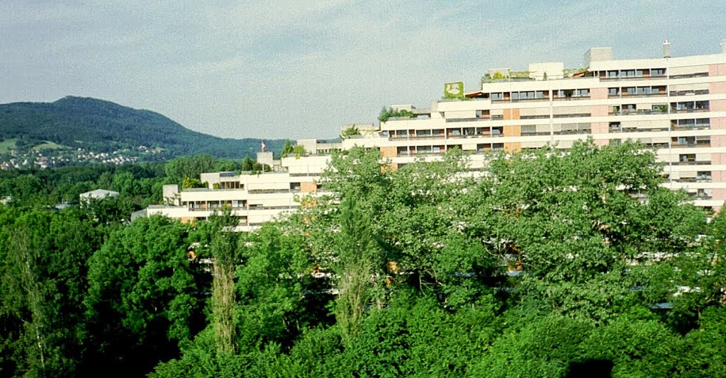 Aarau - Telli