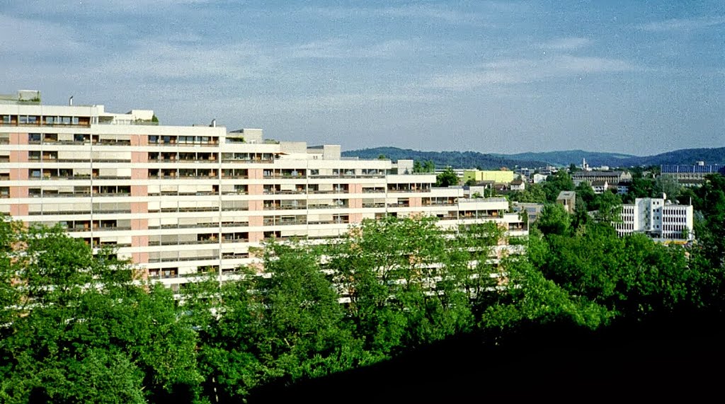 Aarau - Telli