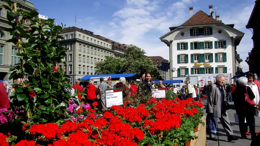 Bern / Bundesplatz / Geranienmarkt