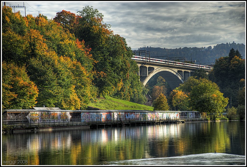 bern, lorrainebad and duck © weggi.ch