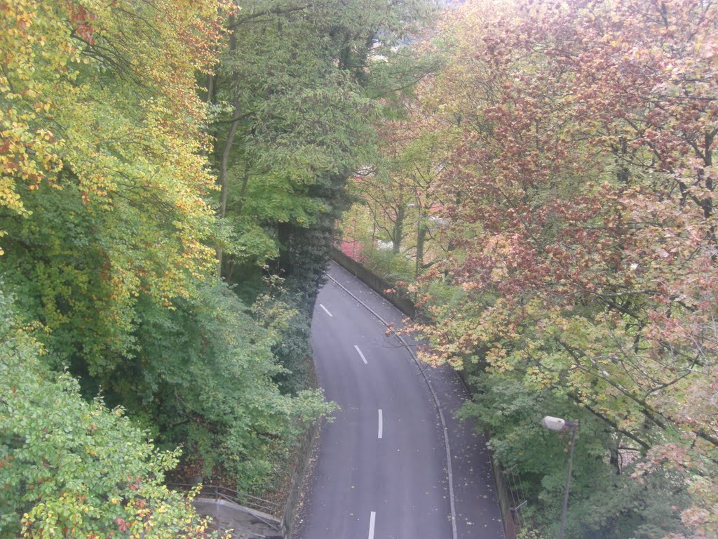 Bern