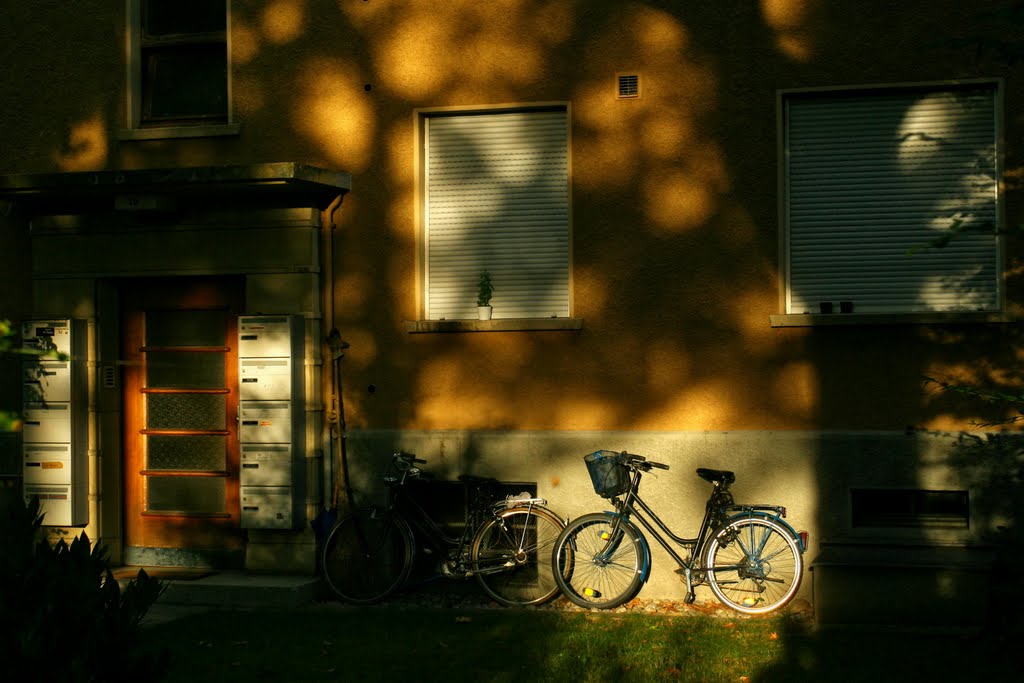 In focus: The City Bike