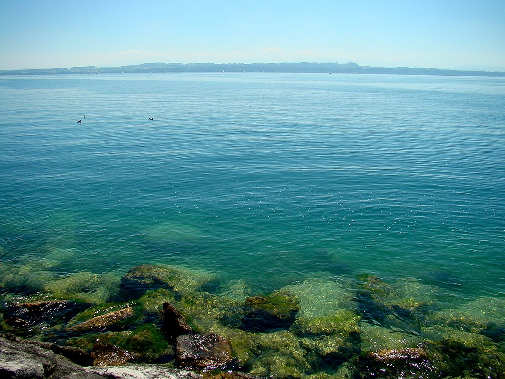 Lake