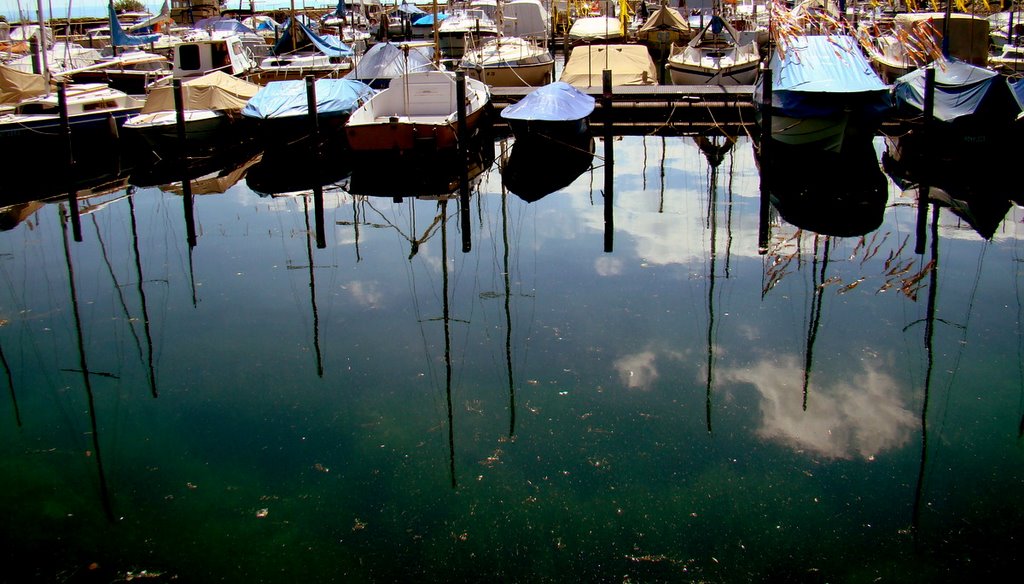 Reflection
