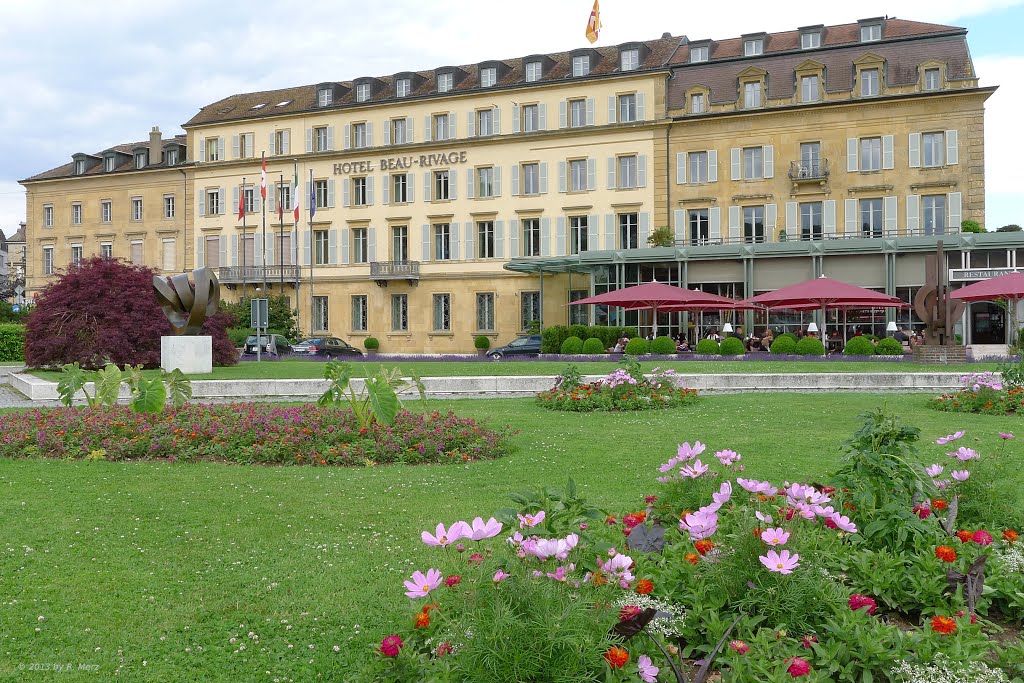 Belles Fleurs à Neuchâtel / Beautiful Flowers in Neuchatel