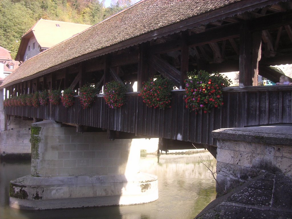 Berne Bridge in Fribourg - with some fall colors in the back