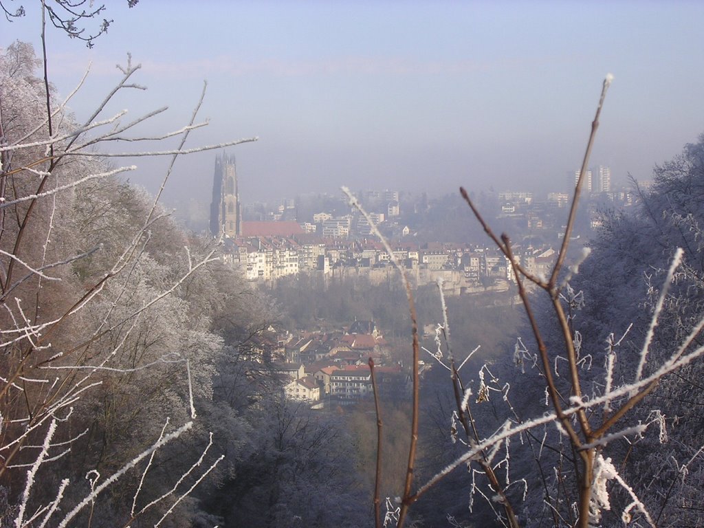 The cathedral of Fribourg seen in winter from the Boulevard de Perolles