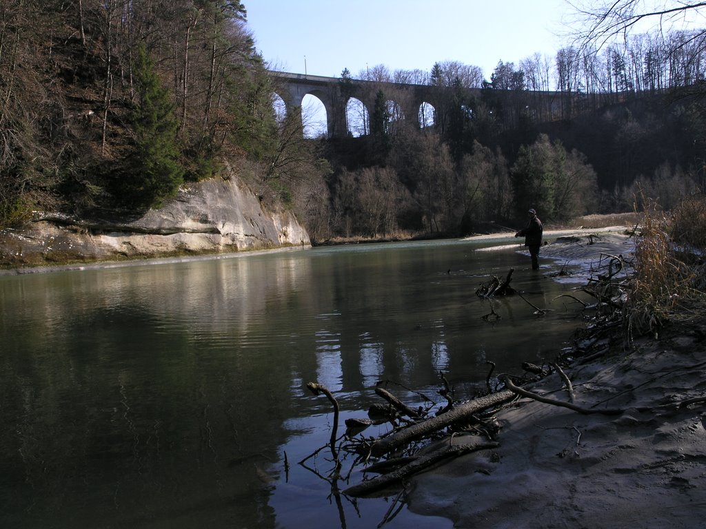 La Sarine en amont du Pont de Pérolles