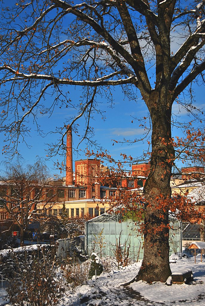 Botanic Garden and Chocolat Factory Villars, Fribourg, Switzerland