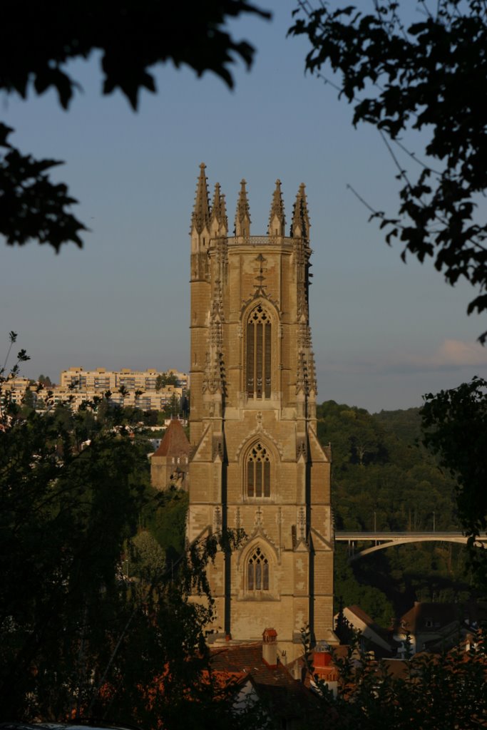Freiburger Münsterturm