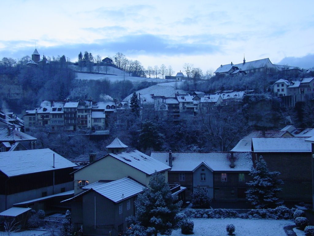 Inverno nella Basseville a Fribourg (scala di blu)