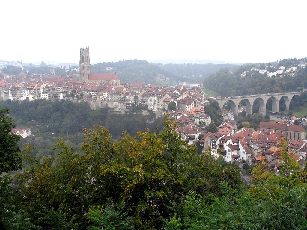 Fribourg-Vue generale