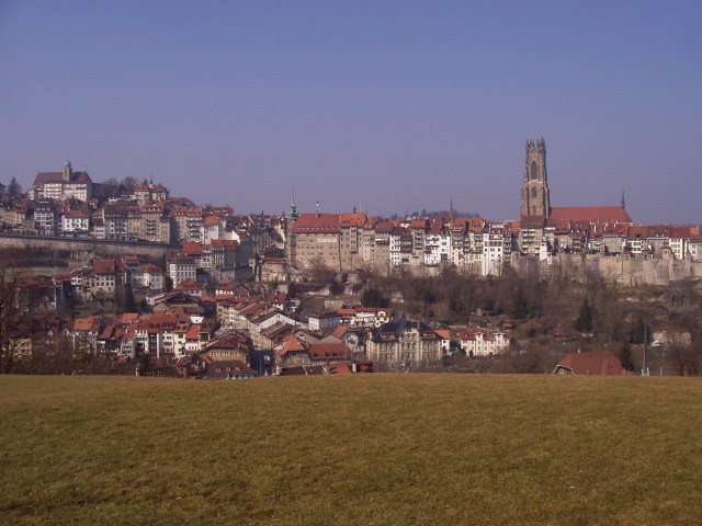 099 Fribourg, Stadtpanorama von Planche