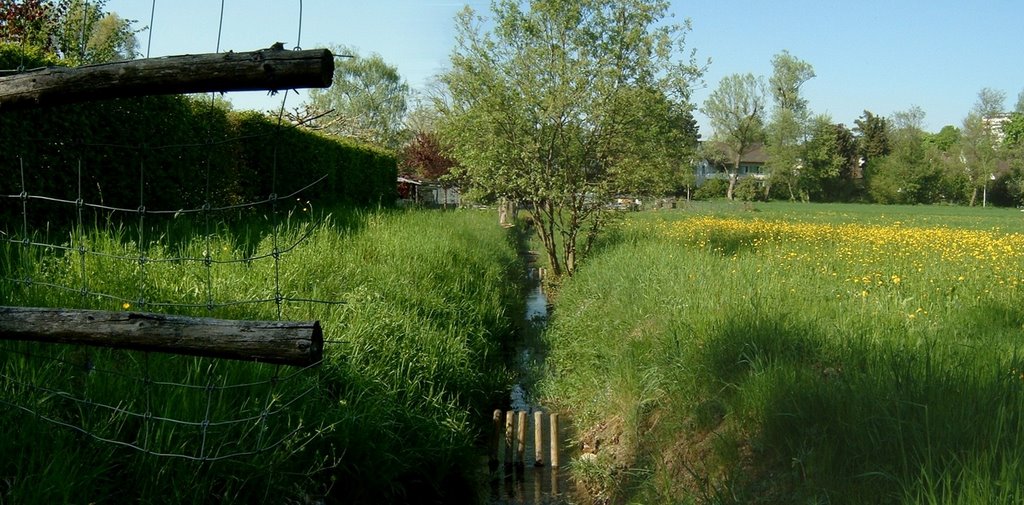 20060511 Mattenbach Winterthur0