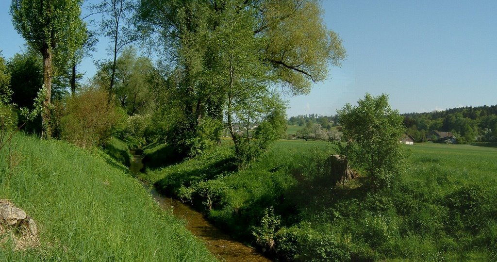 20060511 Mattenbach Winterthur1