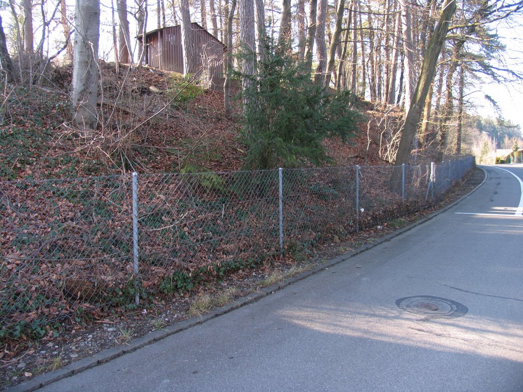 Rütihofstrasse bei Schwimbad Wolfensberg