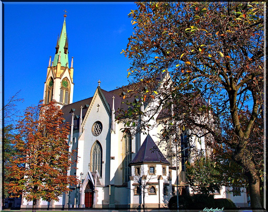 Léglise St. Peter und Paul, Winterthur