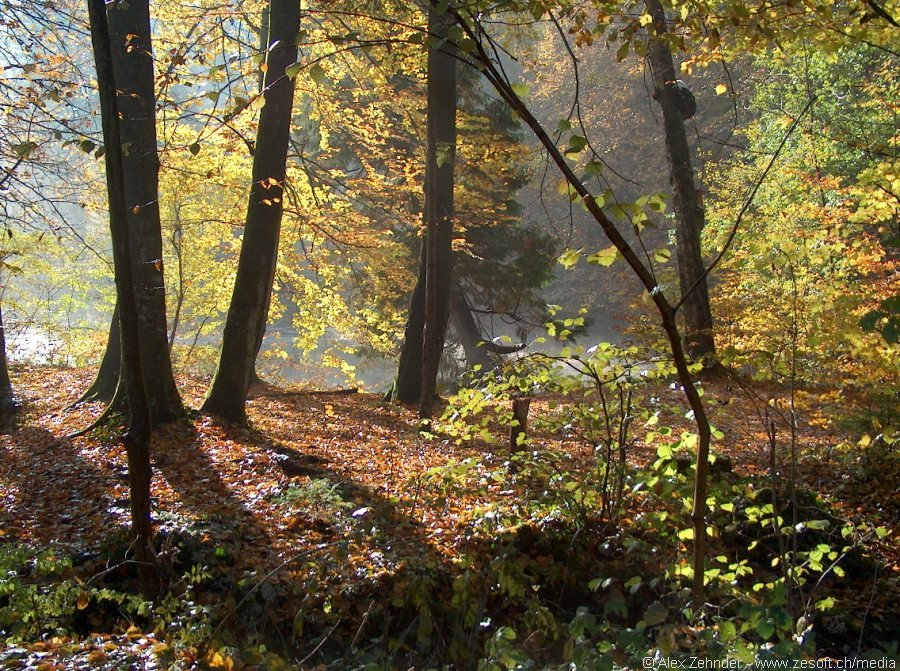 Beim Walchenweiher (1), Winterthur