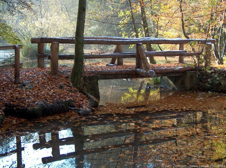 Beim Walchenweiher (2), Winterthur