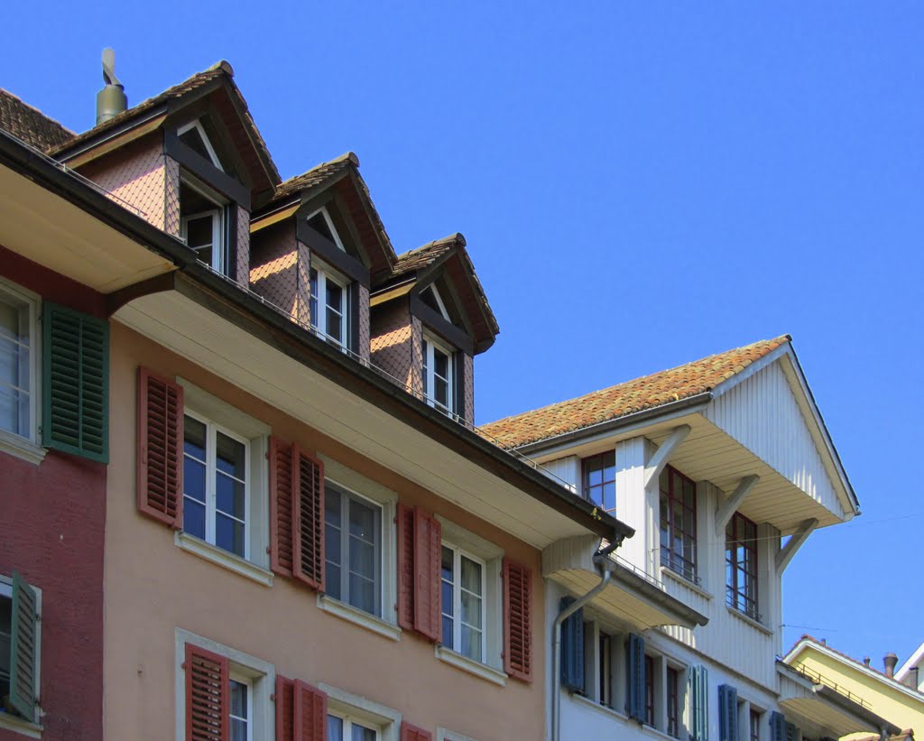 Abbaini di Winterthur