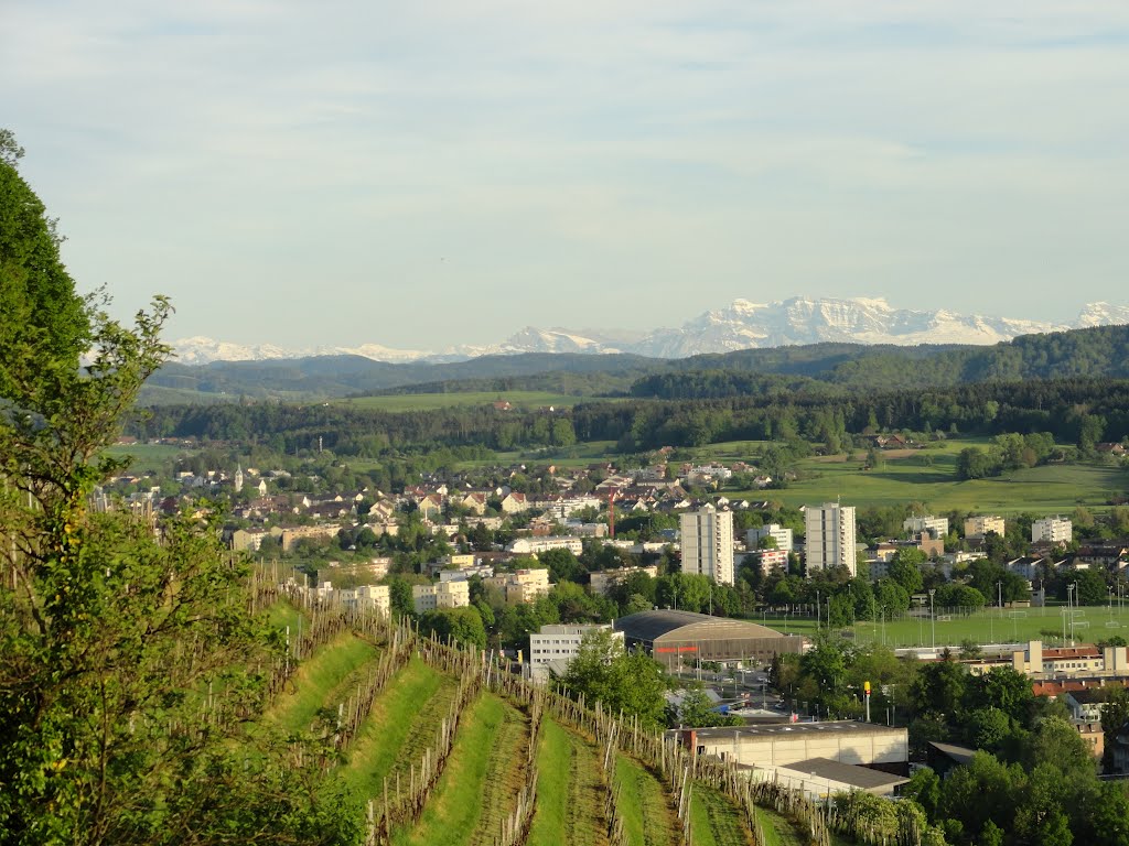 Blick auf Winterthur Seen vom Lindberg