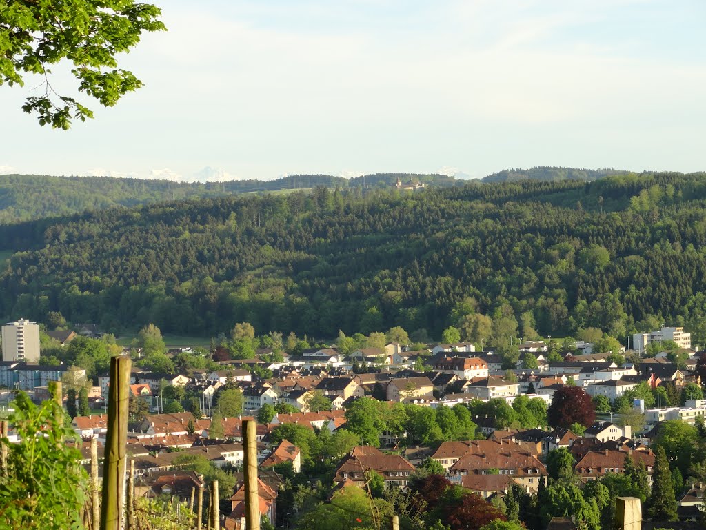 Panorama Winterthur Seen und Schloss Kyburg vom Lindberg
